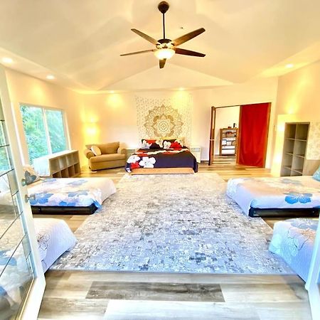 The Honomu House - Gorgeous, Spacious 4Bd2Ba Home Near Waterfalls And Hilo, Sleeps 12! Bagian luar foto